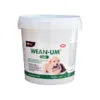 Γάλα για Γατάκια - Σκυλάκια Wean - Um 500 gr "Vetiq"