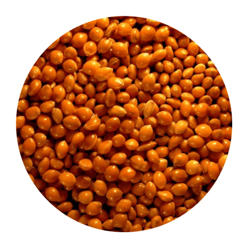 Βόρι Βουλγαρίας για Πτηνά 1kg – 40kg