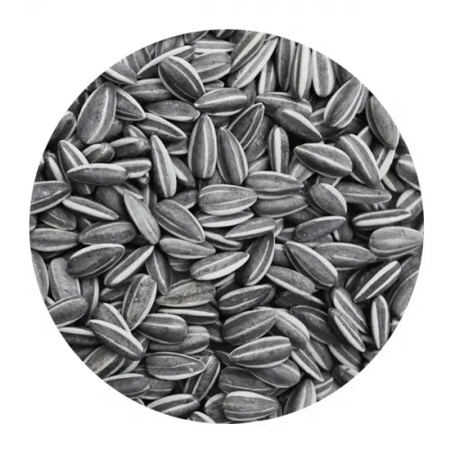 Ηλιόσπορος Ψιλός για Πτηνά 1kg – 25kg