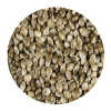 Καναβούρι Γαλλίας για Πτηνά 1kg – 20kg
