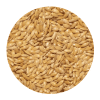 Κεχρί Καναδά για Πτηνά 1kg – 45kg