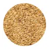 Κεχρί Καναδά για Πτηνά 1kg – 45kg
