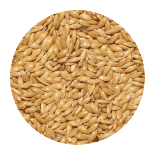 Κεχρί Καναδά για Πτηνά 1kg – 45kg