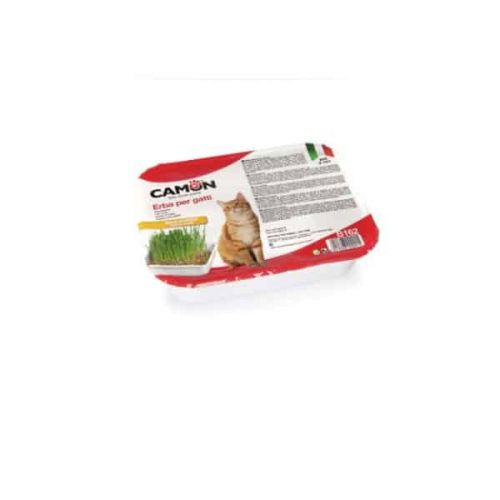 Camon Grass for Cat Γρασίδι για Γάτες