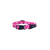 ROGZ Fusion Dog Collars Περιλαίμιο για Σκυλάκια Medium 12-22kg 16mm- 26-40cm