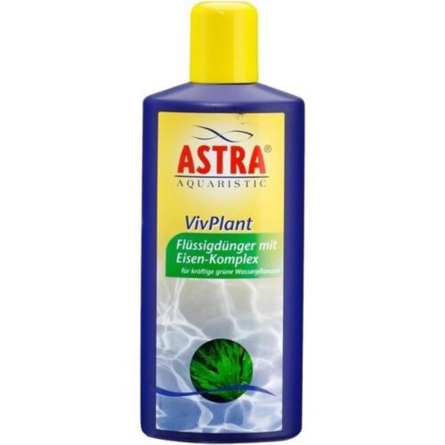 Astra-vivaplant