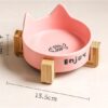 bowl-pulino-roz