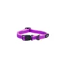 amphibian-collar-purple.webp