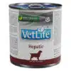 hypatic-dog-vetlife