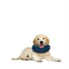 Beeztees Inflatable Collar Small 20-25cm Φουσκωτό Κολλάρο για Σκύλους