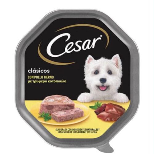 Cesar με Τρυφερό Κοτόπουλο 150gr Υγρή Τροφή για Ενήλικους Σκύλους