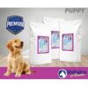 Voltaira Puppy 10kg Ξηρά Τροφή για Κουτάβια με Κοτόπουλο