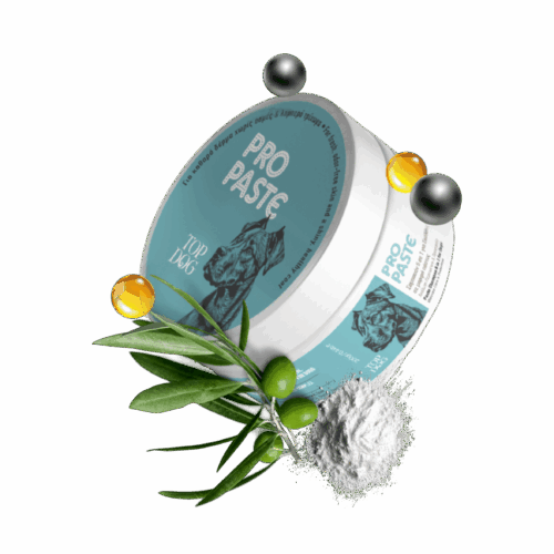 top-dog-paste