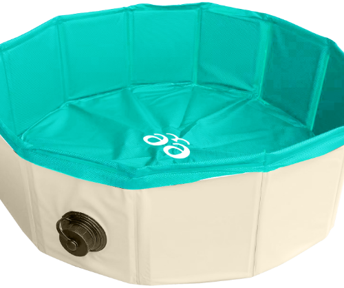 freedog-pool.png